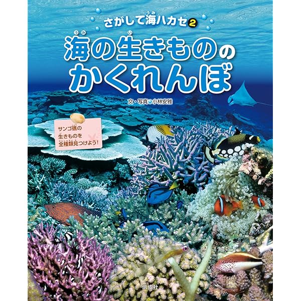 Amazon.co.jp: うみのかくれんぼ: どこかなどこかな、いきもの